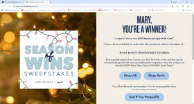 Screenshot 2025-11-26 025848.png