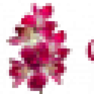 lttlrd171718