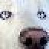 nedraw