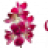 lttlrd171718